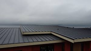 Best Roof Coating and Sealing  in Kings Park, VA